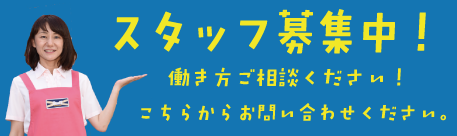 スタッフ募集
