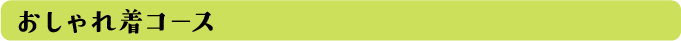 おしゃれ着コース
