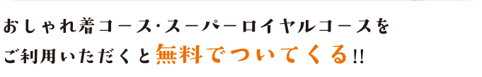 おしゃれ着コース・スーパーロイヤルコースをご利用いただくと無料でついてくる!!